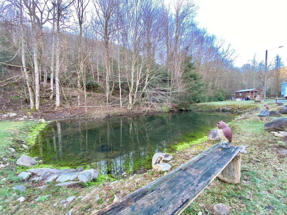 Maggie Valley Cabin Rentals Esterno foto